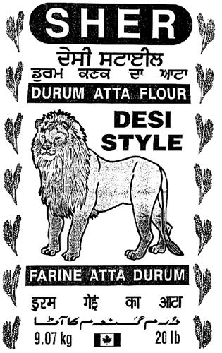 LION & Design trademark