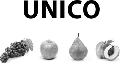 UNICO (& DESIGN) trademark