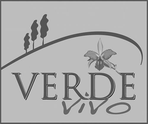 VERDE VIVO & Design trademark