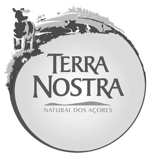 TERRA NOSTRA AND DESIGN trademark