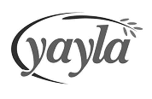 Logo trademark