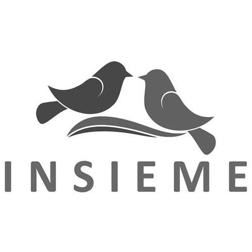 INSIEME & DESIGN trademark