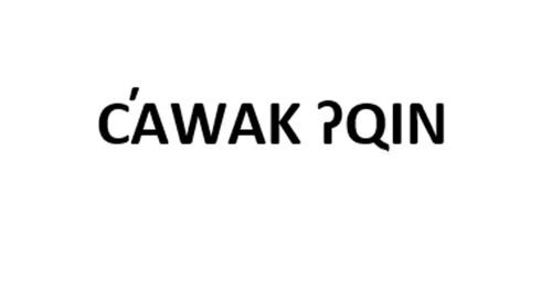 CAWAK QIN trademark