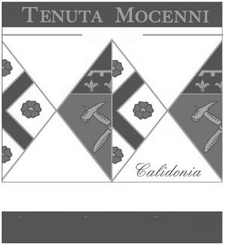 CALIDONIA TENUTA MOCENNI. trademark