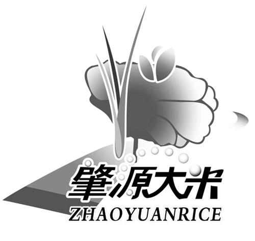 ZHAOYUANRICE & Design trademark