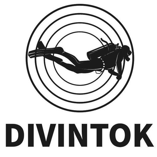 DIVINTOK & Design trademark