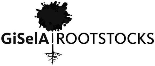 GiSelA ROOTSTOCKS trademark