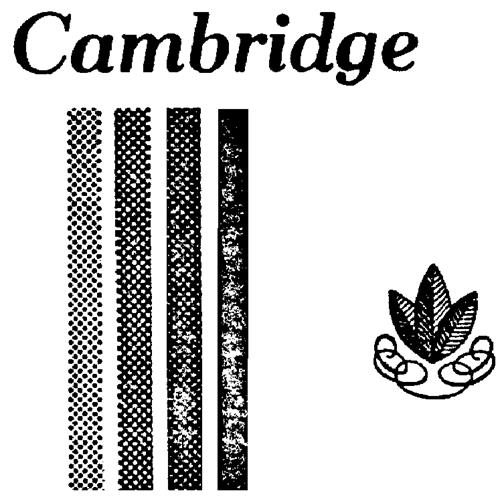 Logo trademark