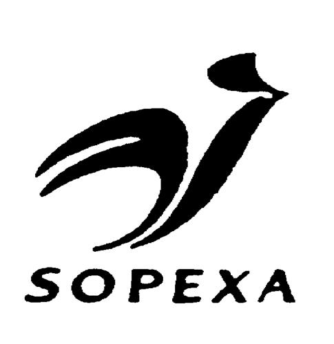 Logo trademark