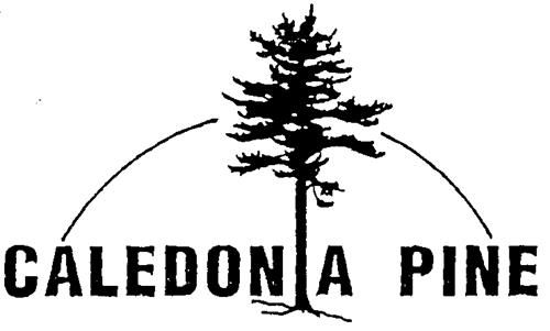 Logo trademark