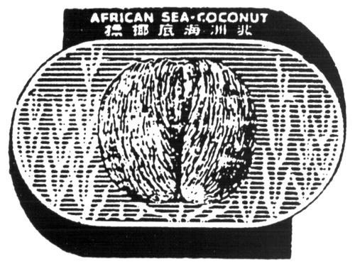 AFRICAN SEA-COCONUT & DESIGN trademark