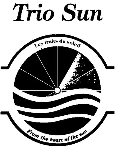 Logo trademark